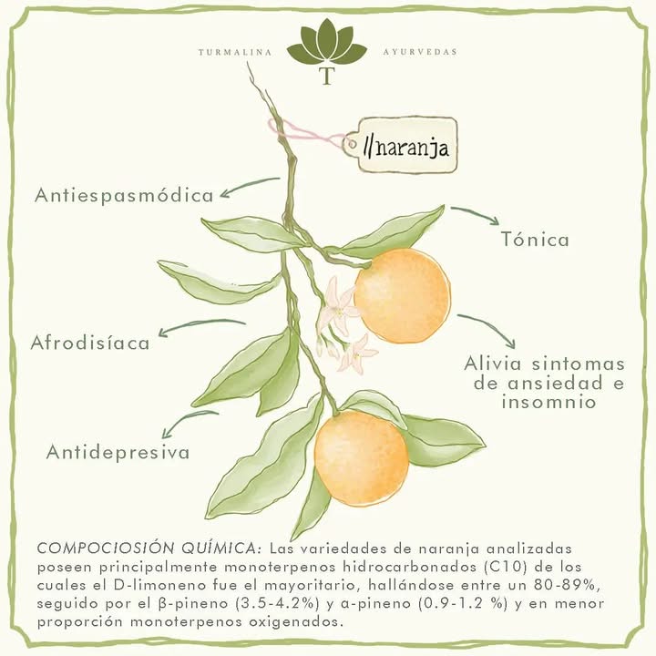NARANJA 🍊